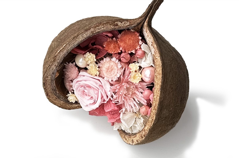 お祝い電報『幸せを呼ぶ幸福の実 ブッタナッツP』