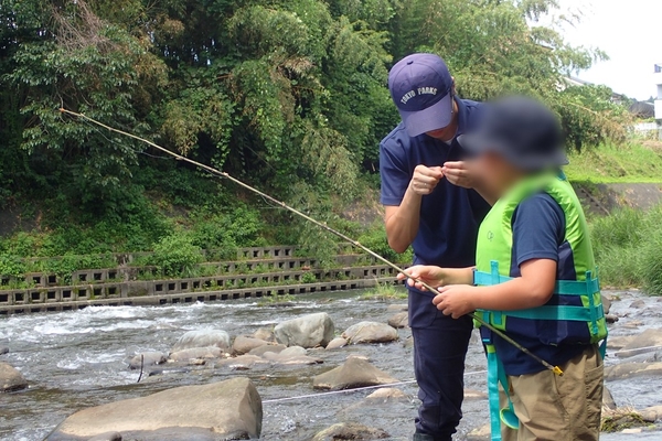 餌付けが苦手な方はお手伝いしますよ