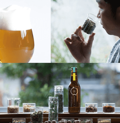 奥大和ビール2