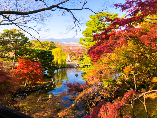 四季折々の美しさを見せる絶景の穴場「eXcafe祇園八坂」