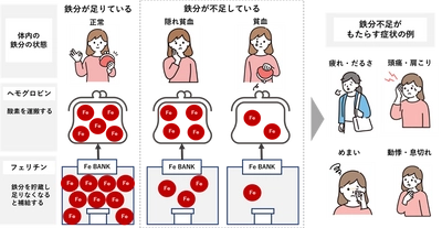 弘前大学・京都大学との共同研究で健康ビックデータから『女性のメンタル不調』に『鉄分不足』が関係していることを確認