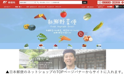 日本郵便のネットショップで旬な新鮮野菜を届ける通販サイトを開設 「新鮮野菜便 -Fresh Vegetable Direct-」 11月16日より販売開始