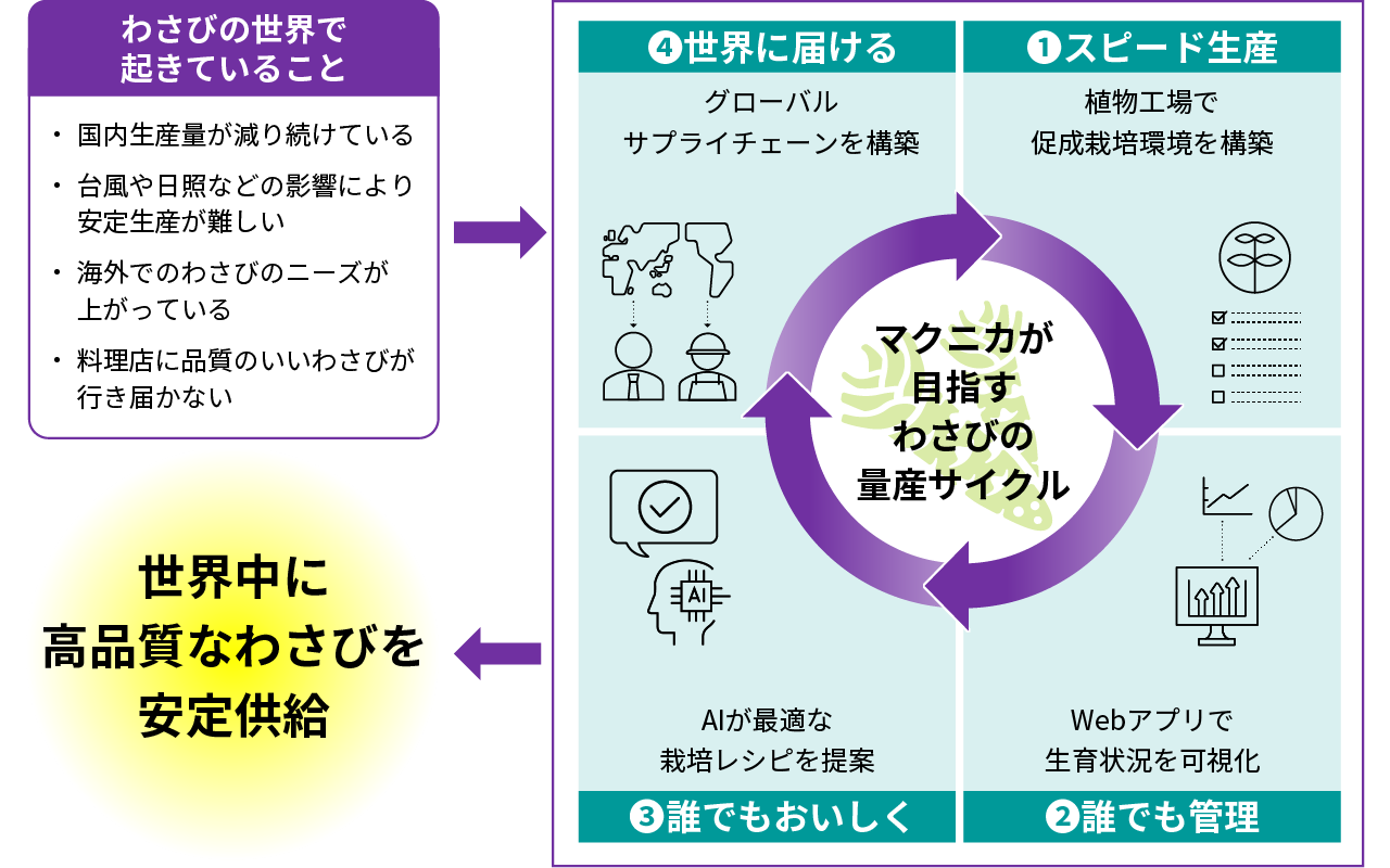 マクニカ、NEXTAGEと植物工場のDXと販売における資本業務提携を締結