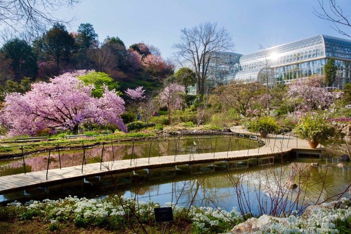 高知県立牧野植物園