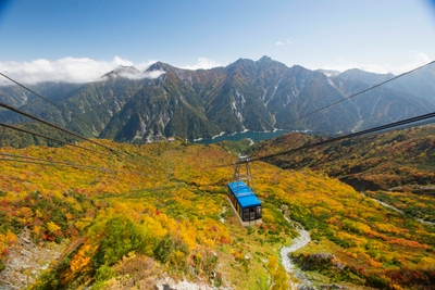 大観峰・黒部平の紅葉