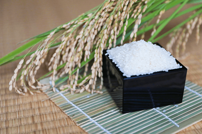 3位 【2022年10月収穫】低農薬 じぃじのコシヒカリ 5kg