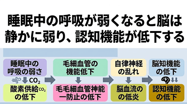 睡眠中の呼吸が弱くなると脳は静かに弱り、認知機能が低下する──医学が見落としてきた「上流原因の仮説」を公開