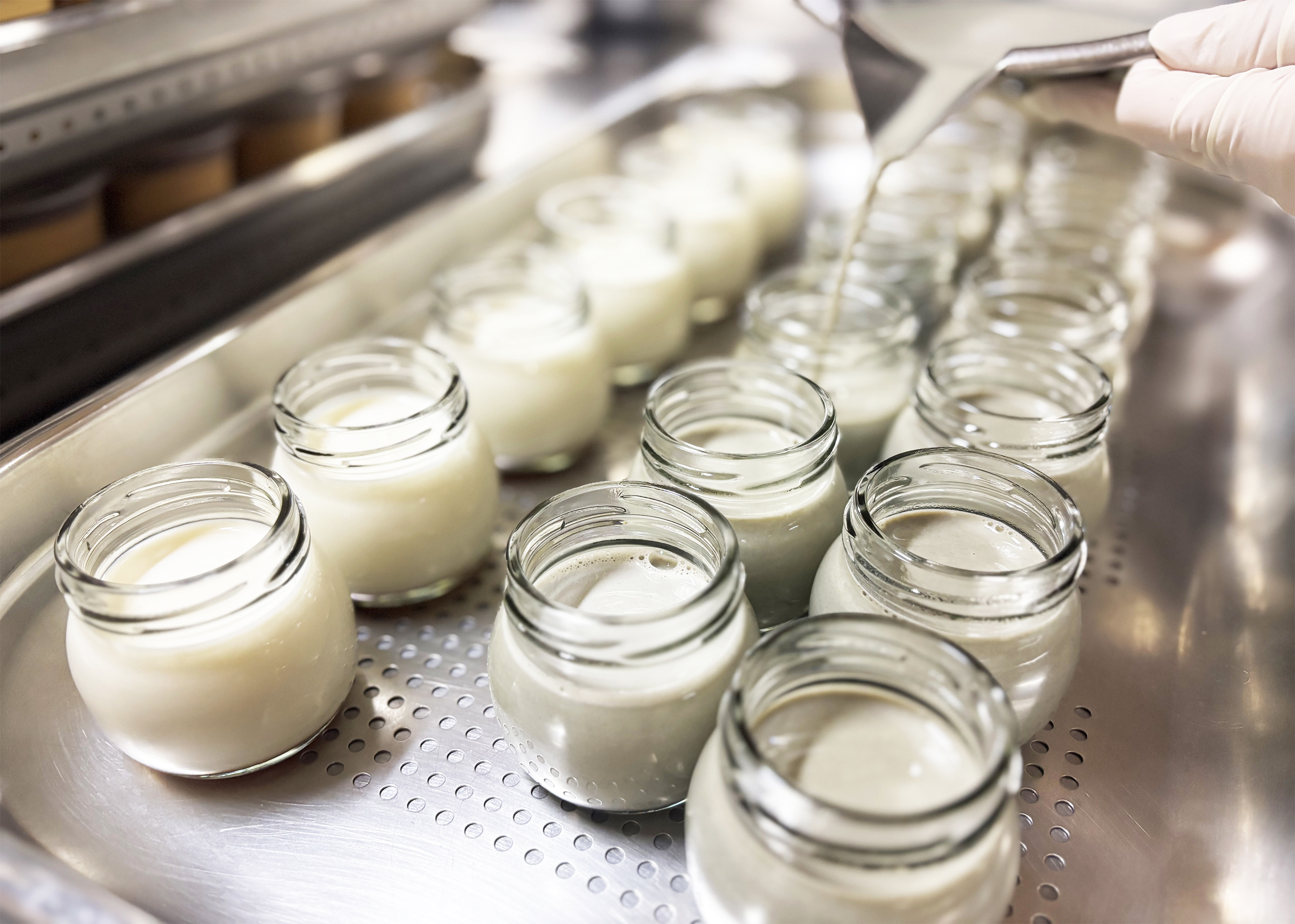 丁寧に裏ごしされた生地を1つ1つ注いでいます