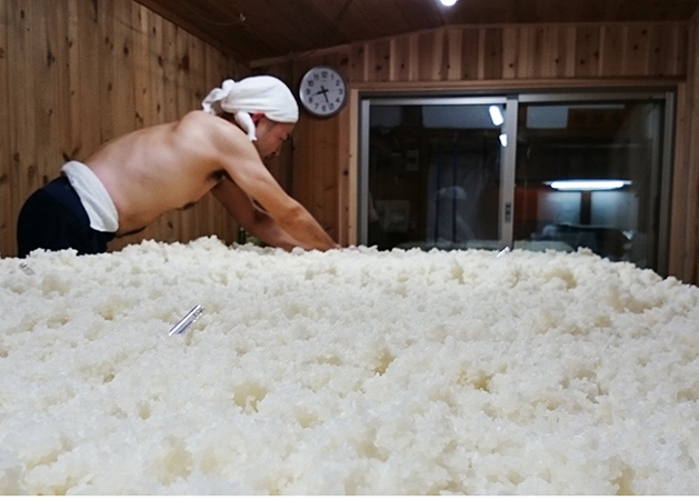 杜氏／作業風景