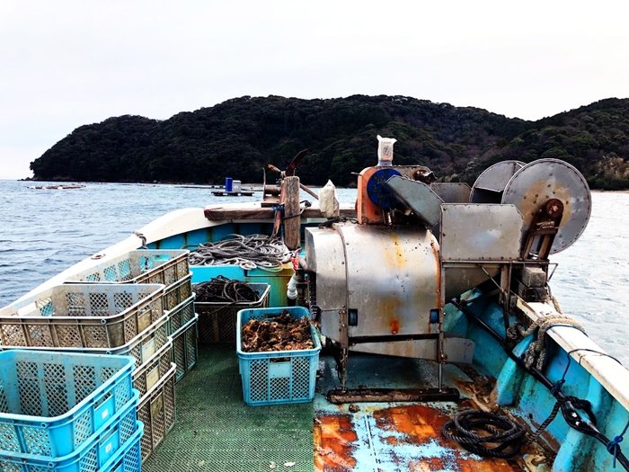 伊勢湾安楽島にて牡蠣の養殖を学ぶ