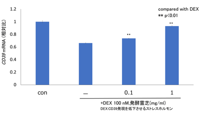 (図4) 発酵霊芝によるCD39遺伝子発現に対する濃度依存性の確認試験