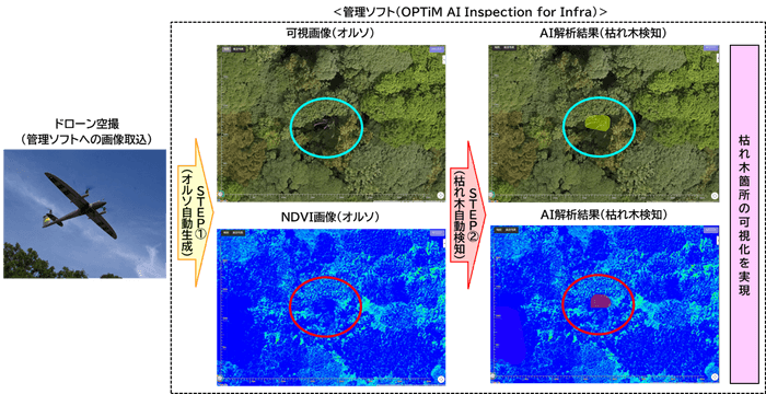 【機能(1)】可視画像とNDVI画像を活用した枯れ木AI検知