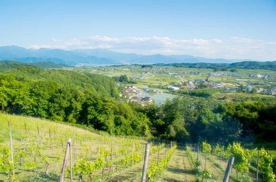 青空に臨む、豊かな自社ワイナリー(長野県飯綱町)