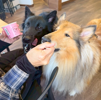 愛犬と一緒に過ごせるカフェ