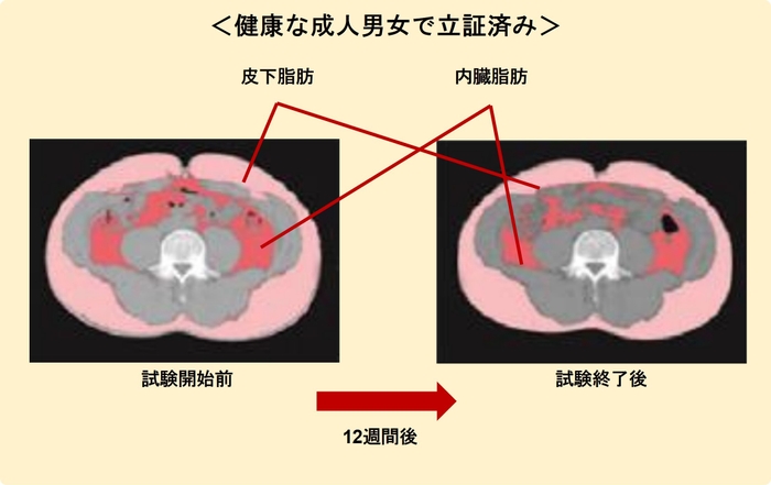 試験結果