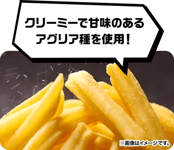 Ｘフライドポテト　販促画像