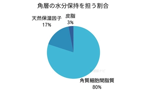 【脂漏性×敏感肌】におすすめの保湿ケア方法と化粧品選び