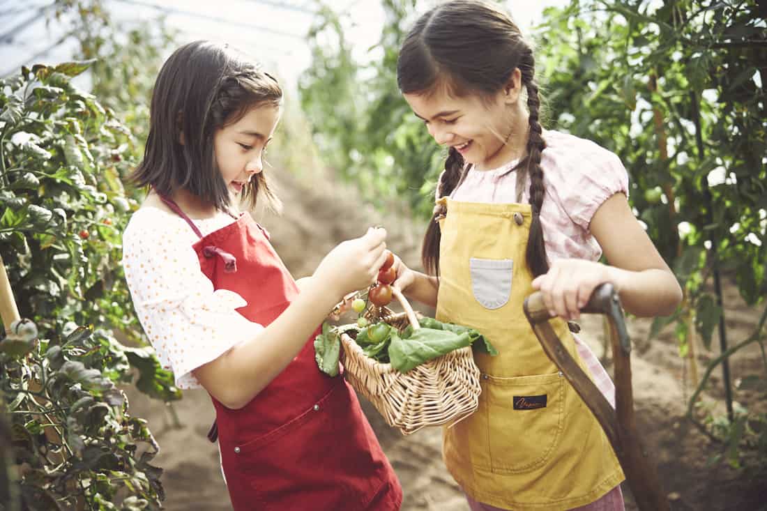 【リゾナーレ那須】今年の自由研究は野菜体験!手入れ・収穫・納品と農家の仕事を体験できる「Farmer’s JOB ~夏休みの自由研究~」開催|期間:2021年7月20日~8月31日の毎週月曜日、木曜日