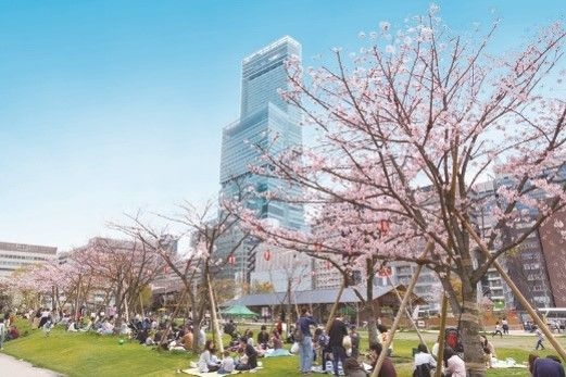 「てんしば」の桜　イメージ画像