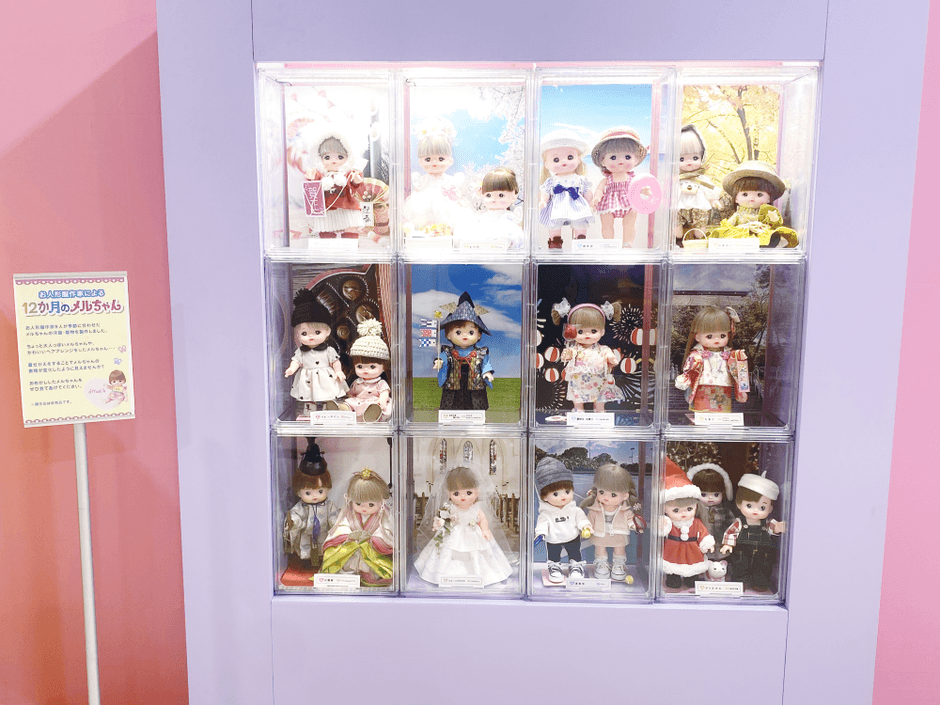 ～展示コーナー～