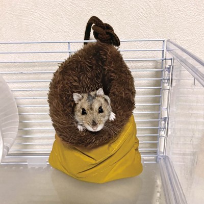 ひもで結んで