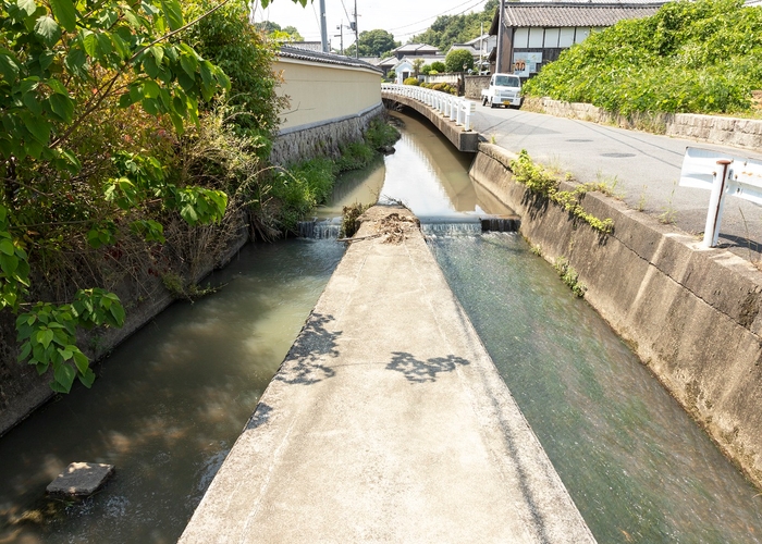 【写真２】近世からの水利慣行が続く水路（北から） 写真左側の水路は橿原市下八釣町に、右側の水路は木之本町へと流れる。