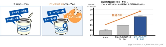 普通のヨーグルトとビフィズス菌入りヨーグルト摂取による整腸作用の違い