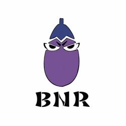 一般社団法人BNR