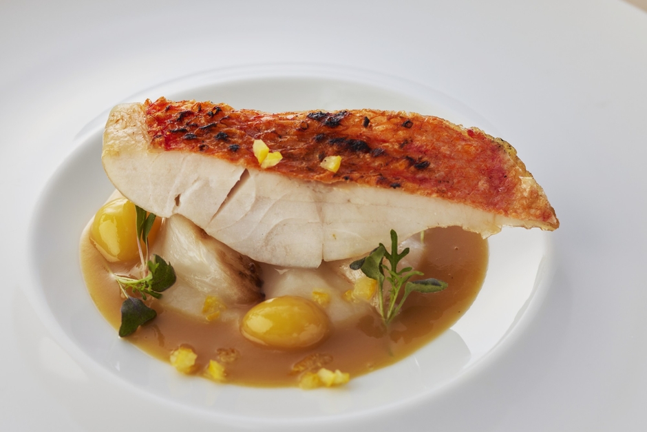 ▲魚料理「炭火焼き鮮魚 蕪のサフランのナージュ」