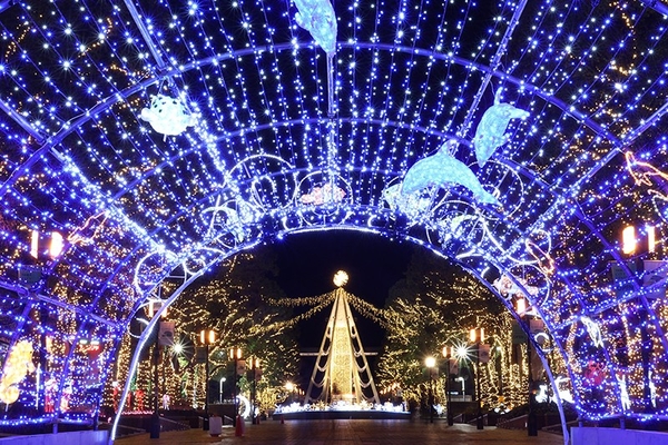 多摩センターのパルテノン大通りを照らす壮大なイルミネーションは多摩市の冬の風物詩（画像提供：多摩センター地区連絡協議会）