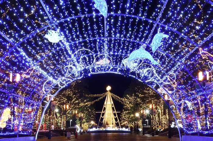 多摩センターのパルテノン大通りを照らす壮大なイルミネーションは多摩市の冬の風物詩(画像提供:多摩センター地区連絡協議会)