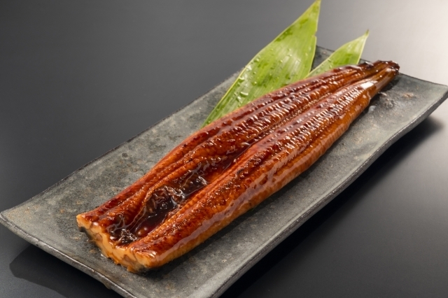 うなぎ蒲焼き(イメージ画像)