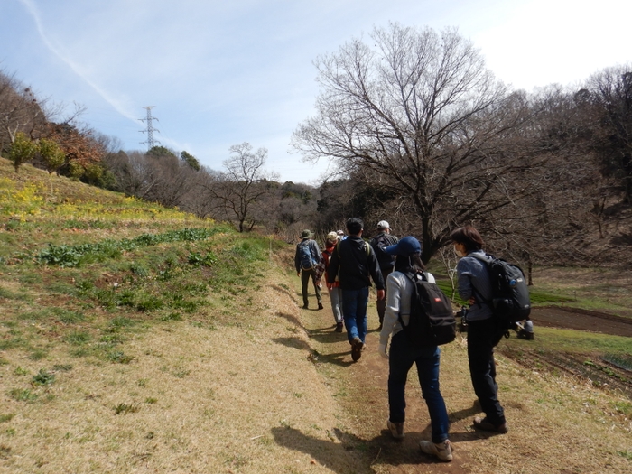 里山の長閑な景色が続きます