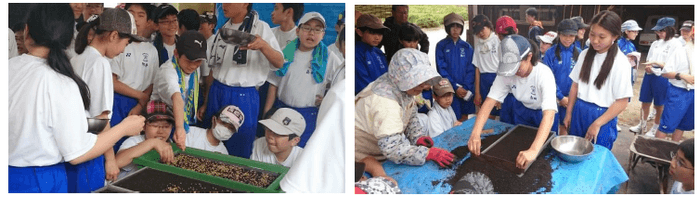 (左)種もみまきの様子(昨年)、(右)育苗箱に土を均等に入れて種をまく様子(昨年)