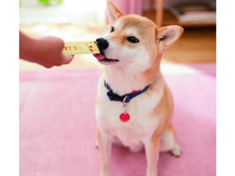 愛犬の健康をおいしくサポート！ 犬用ペーストおやつ「わんみぃ」にビーフ味登場、10/27発売