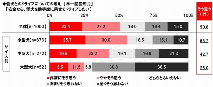 愛犬とのドライブについての考え