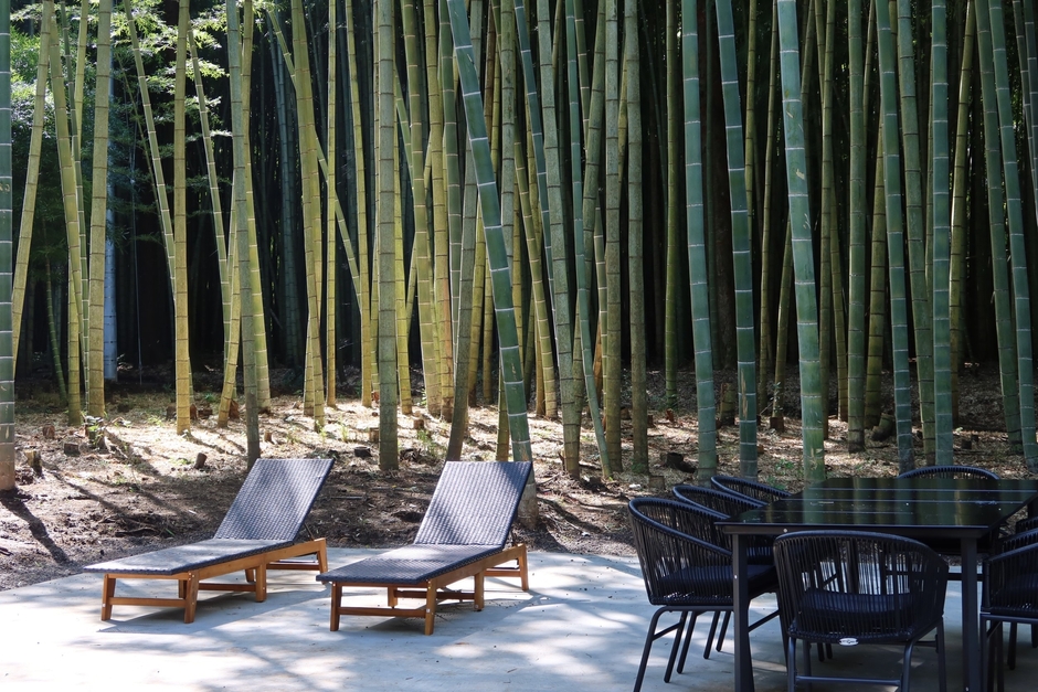 千葉県勝浦市に新たな隠れ家リゾートが誕生！竹林の絶景とサウナが