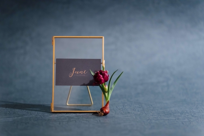 ショップイメージ