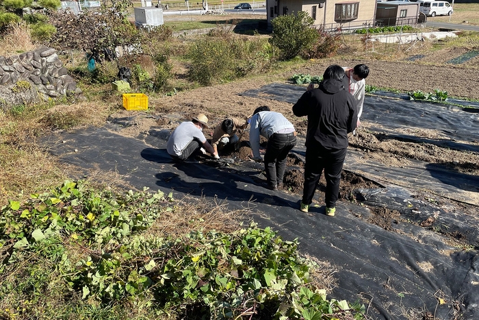 【ココトモワークス】