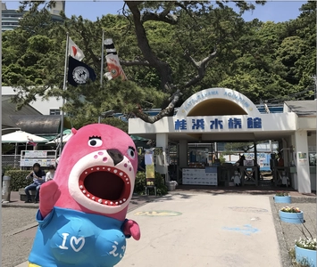 水族館 人気ランキング※1　第1位 高知県「桂浜水族館」が 国内初※2『アシカとアクアティックプログラム』を開催