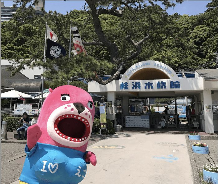 桂浜水族館