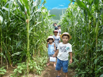 夏休み期間限定！「とうもろこし畑の巨大迷路」が 7月20日(土)伊豆に出現！ 20万人以上が挑戦した脱出ゲームが過去最高難易度にレベルアップ