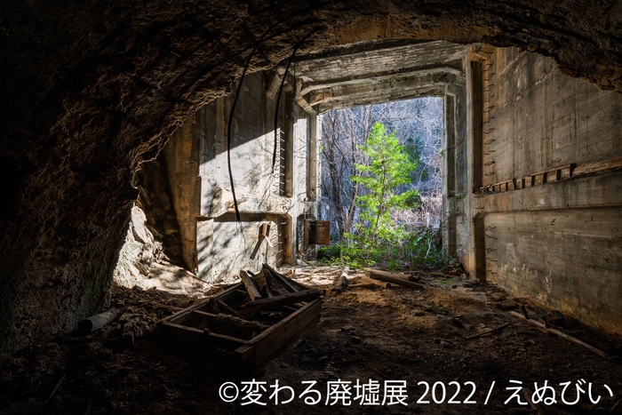 展示作品4