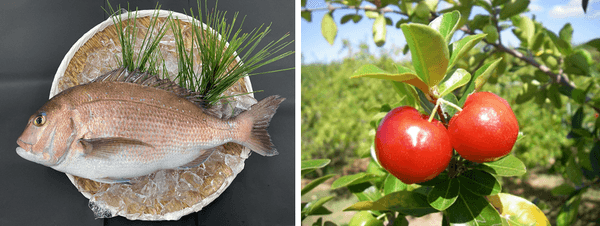 アセロラ真鯛(左)、アセロラ(右)