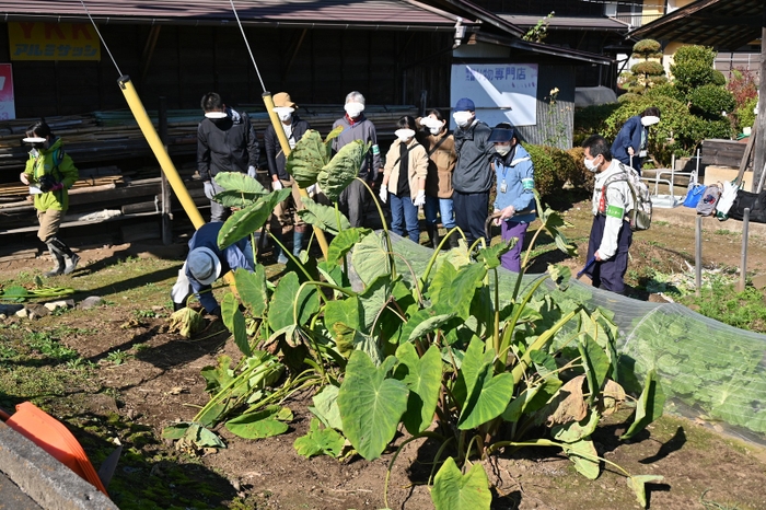 大きい！これを掘るんですね