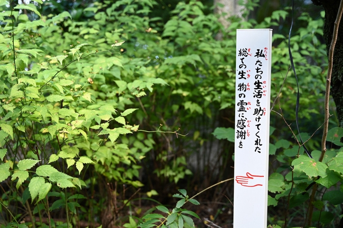 すべての生物の霊に感謝を