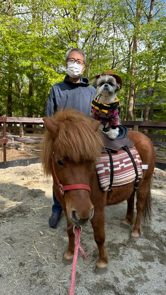 わんちゃんポニー乗馬体験