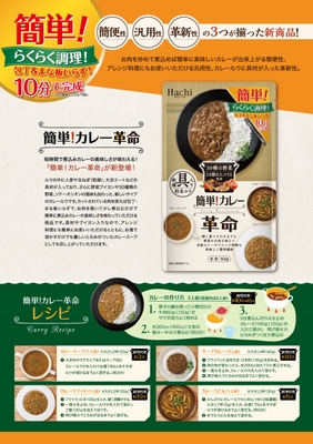 簡単!カレー革命 チラシ