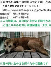 希望を持つチビ太