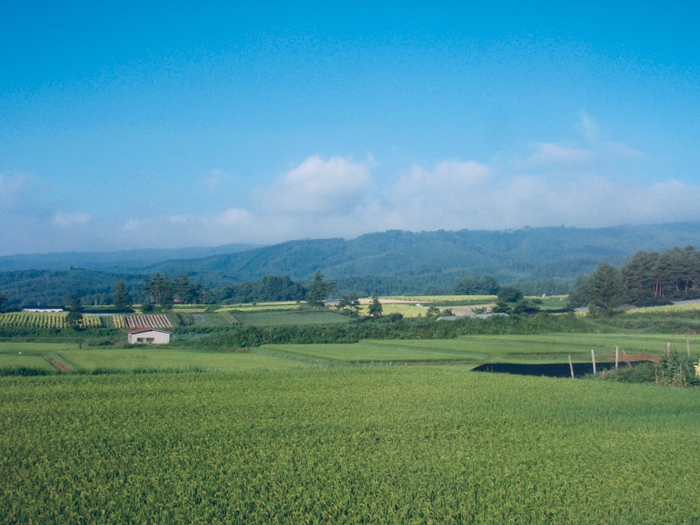 風光明媚な岩手県二戸市